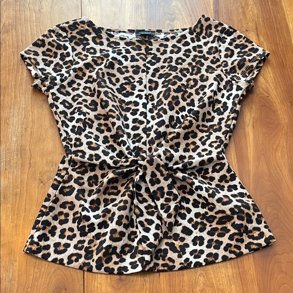 Ann Taylor Leopard Print Blouse
